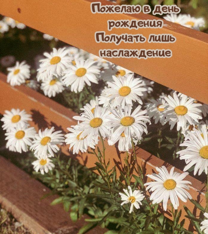 Пожелаю в день рождения получать лишь наслаждение