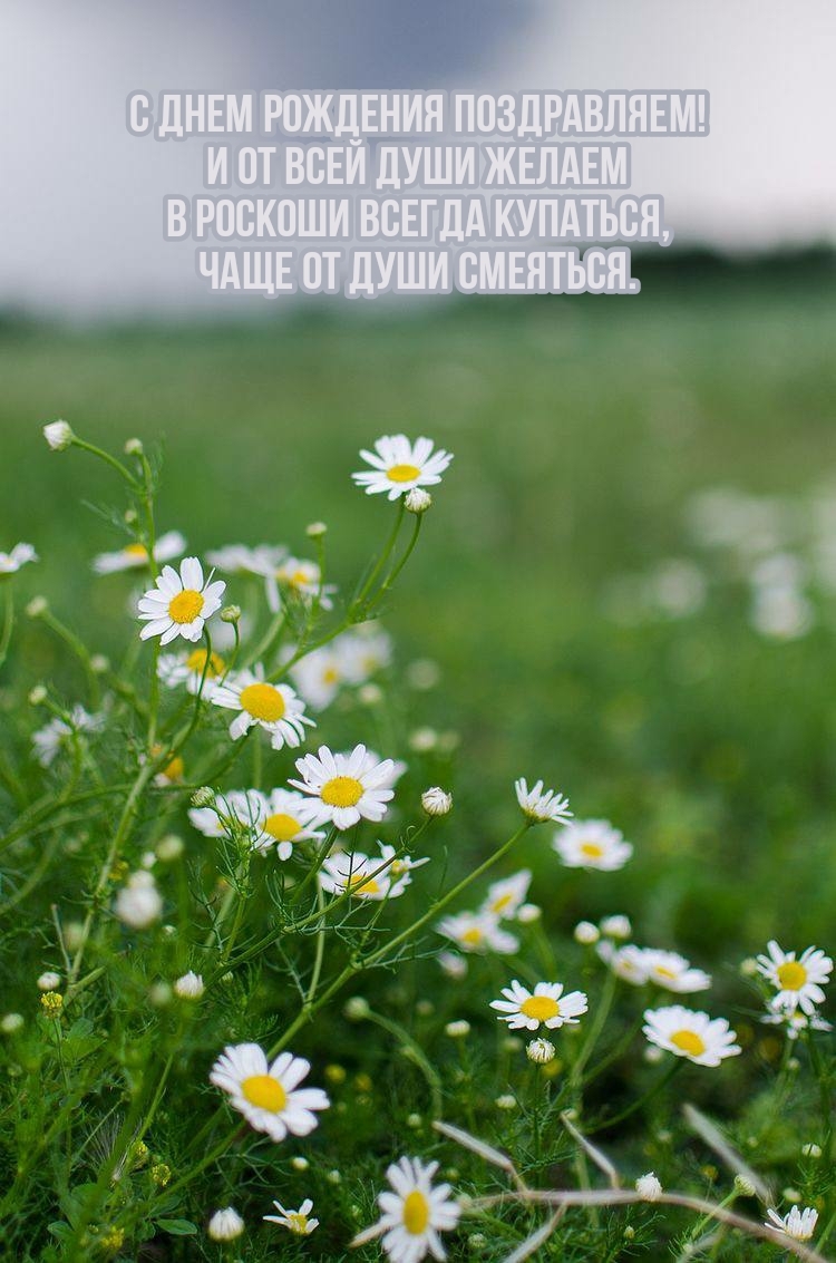 С днем рождения! Чаще от души смеяться.