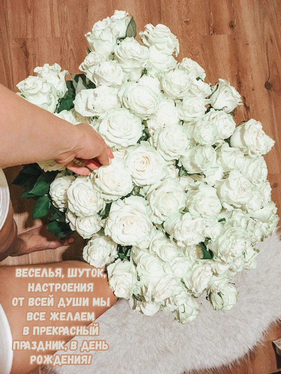 Веселья, шуток в прекрасный праздник, в день рождения!