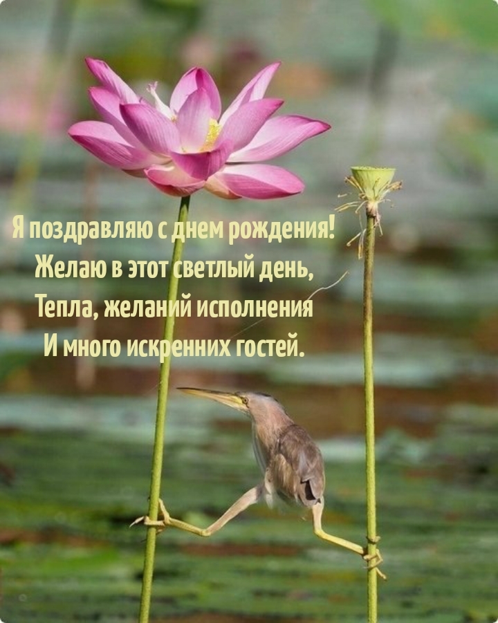  Я поздравляю с днем рождения! Тепла, желаний исполнения