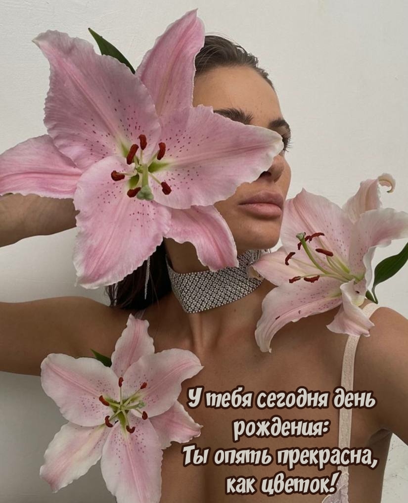У тебя сегодня день рождения: Ты опять прекрасна, как цветок!