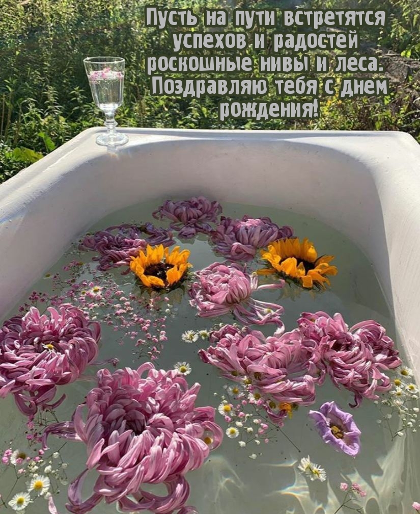 Пусть на пути встретятся успехов роскошные нивы и леса.