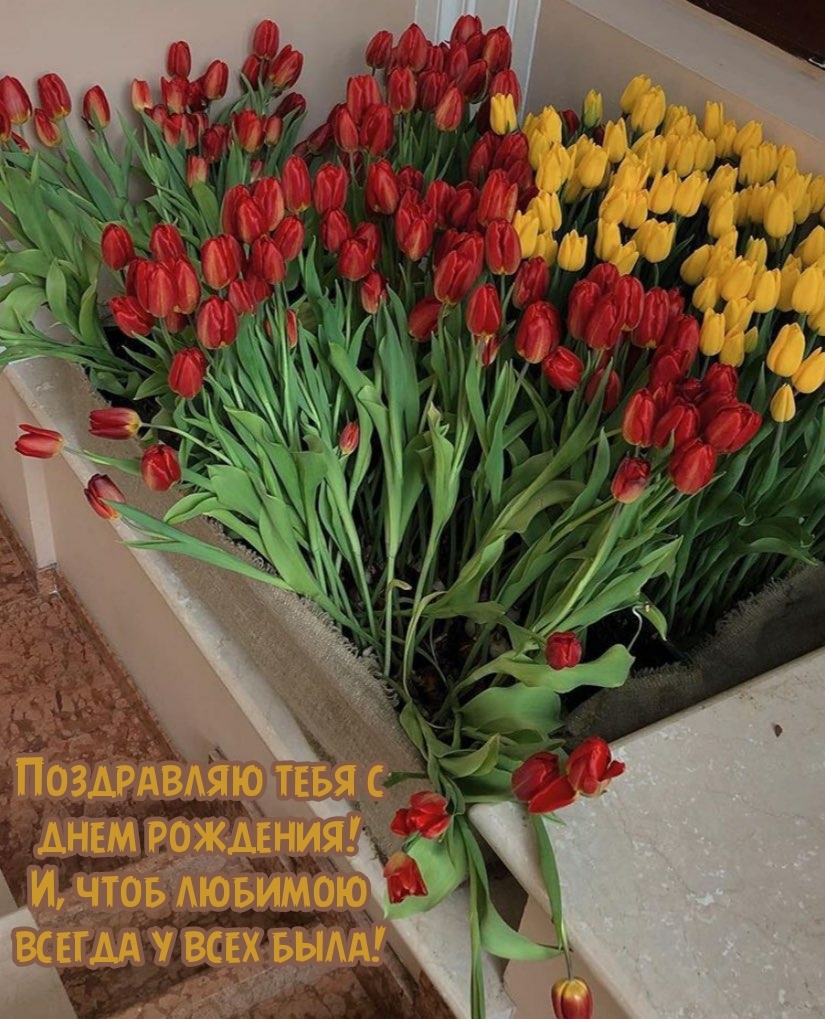 Поздравляю тебя с днем рождения!