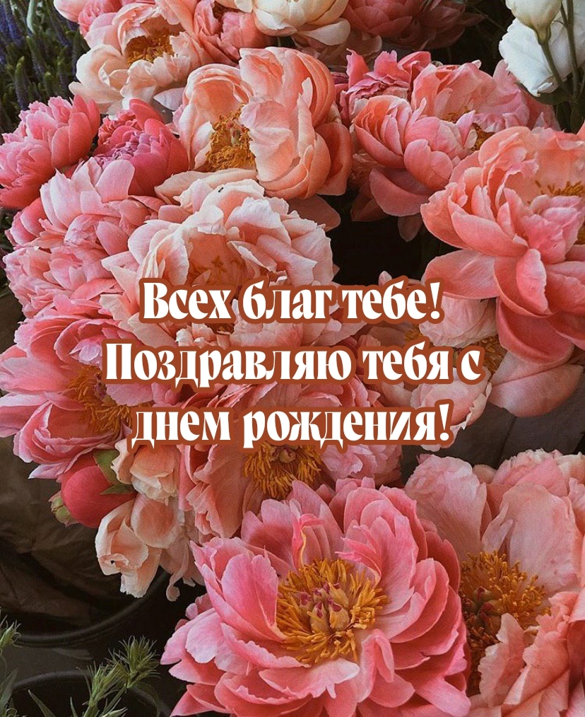 Всех благ тебе! Поздравляю тебя с днем рождения!
