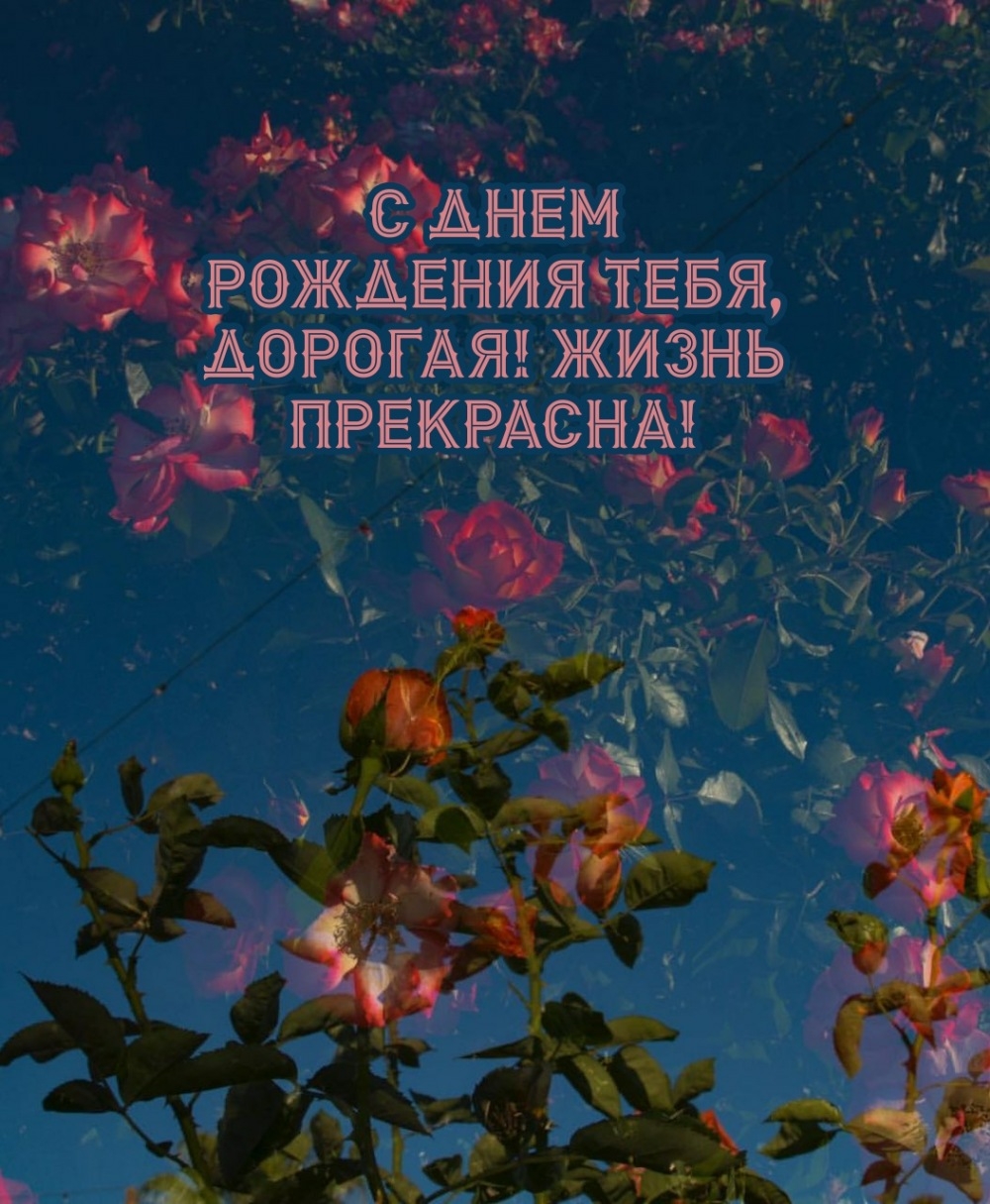 С днем рождения тебя, дорогая! Жизнь прекрасна!