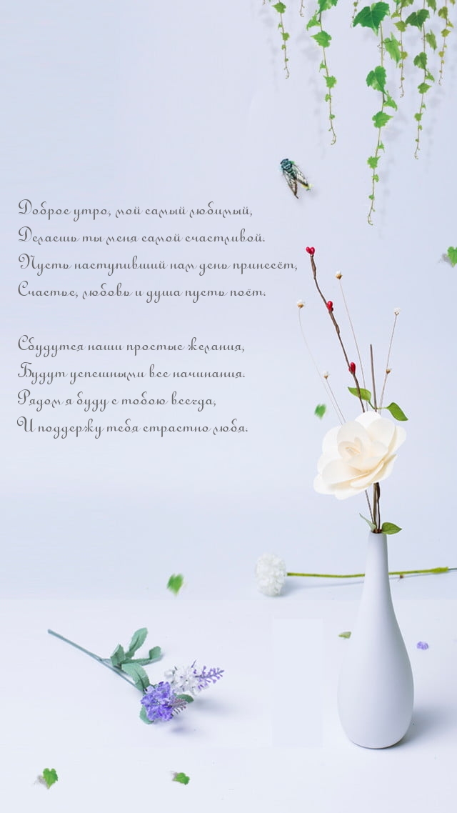 Доброе утро, мой самый любимый, делаешь ты меня самой счастливой.