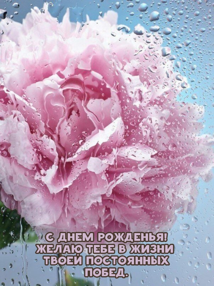 С днем рожденья! Желаю в жизни твоей постоянных побед.