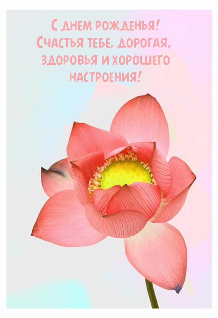 С днем рожденья! Счастья тебе, дорогая