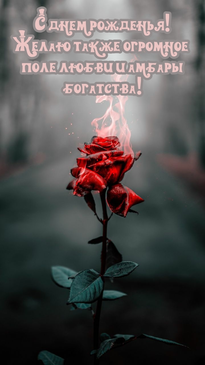 С днем рожденья! Желаю также огромное поле любви