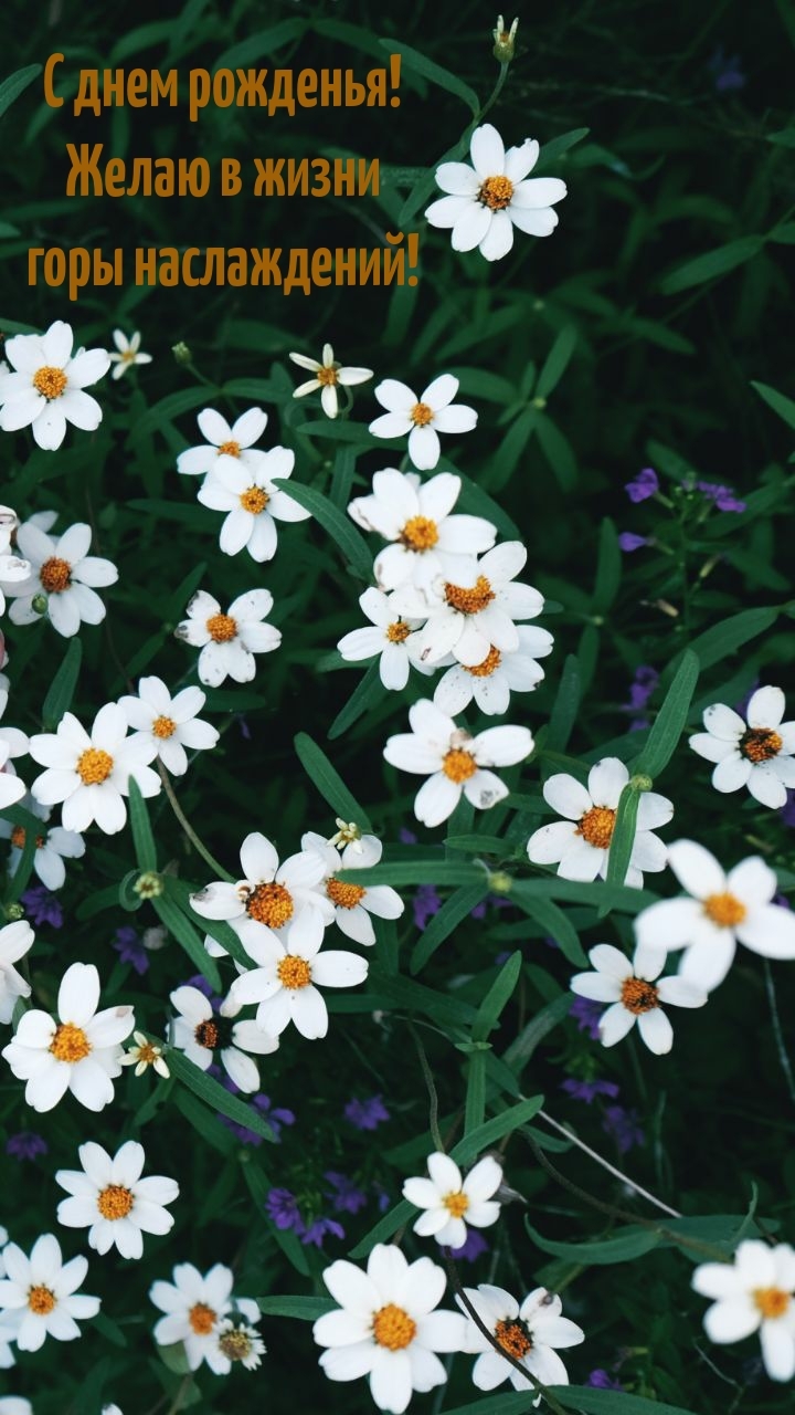 С днем рожденья! Желаю в жизни горы наслаждений!