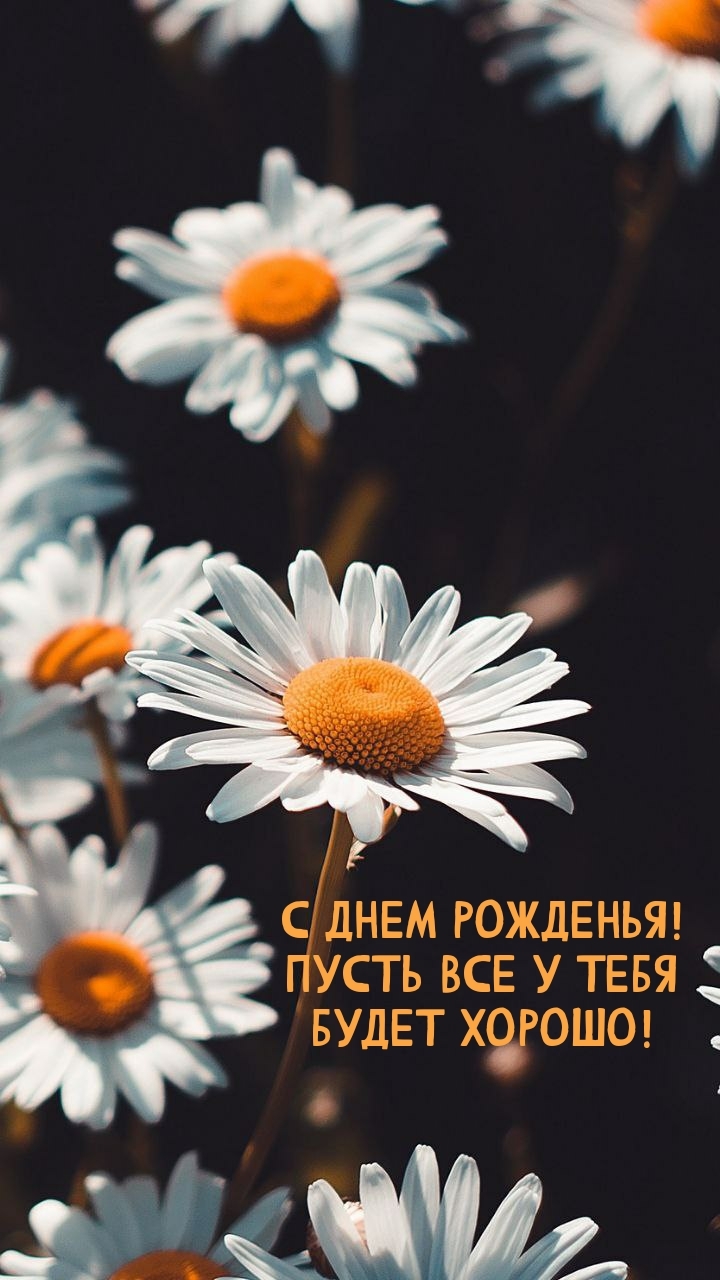 С днем рожденья! Пусть все у тебя будет хорошо!
