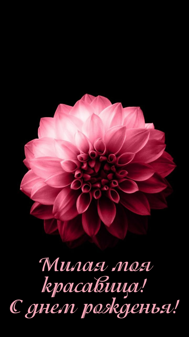 Милая моя красавица! С днем рожденья!