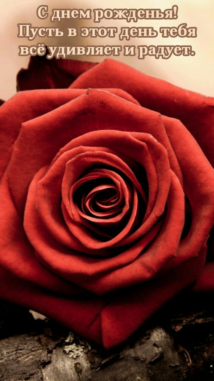 Пусть в этот день тебя всё удивляет и радует.