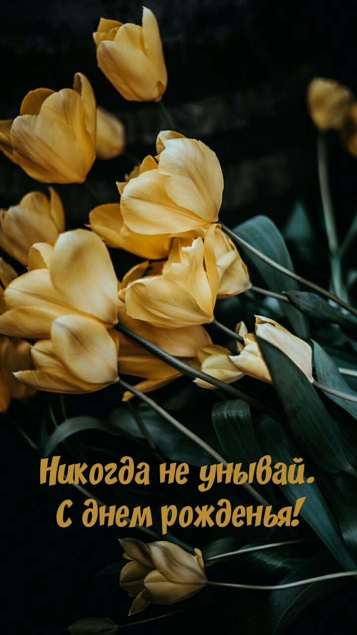 Никогда не унывай. С днем рожденья!