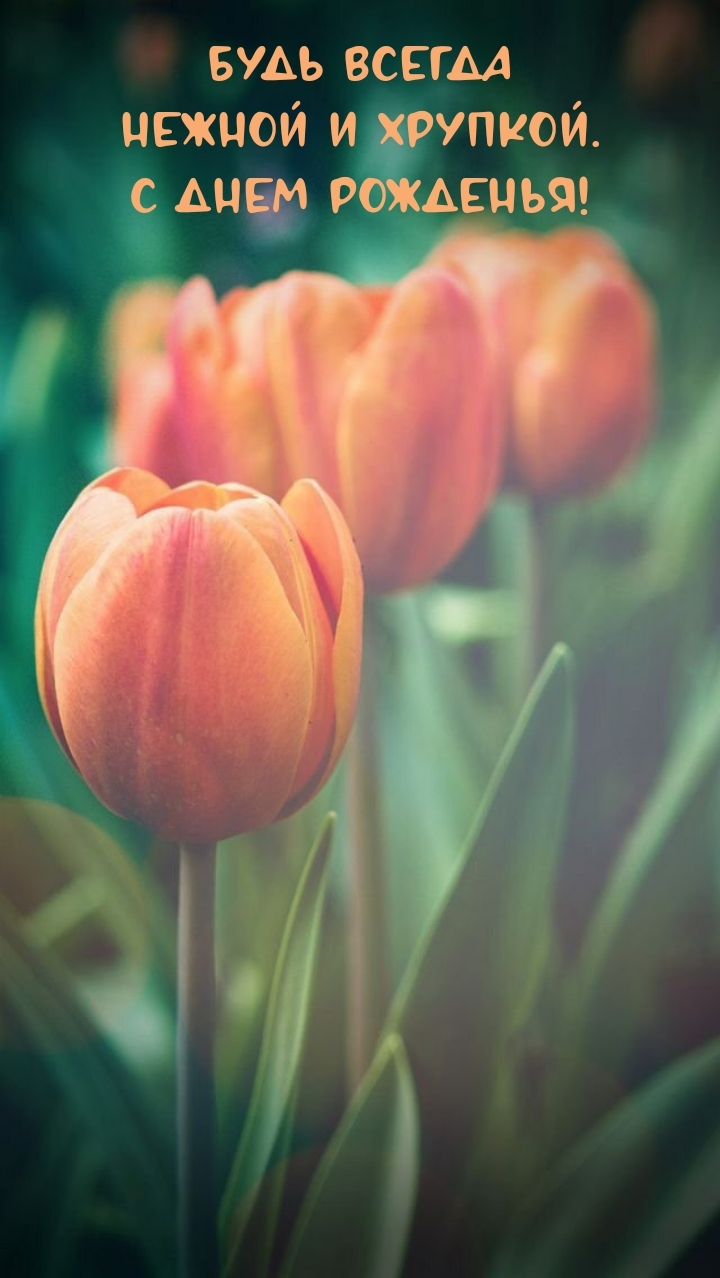 Будь всегда нежной и хрупкой. С днем рожденья!