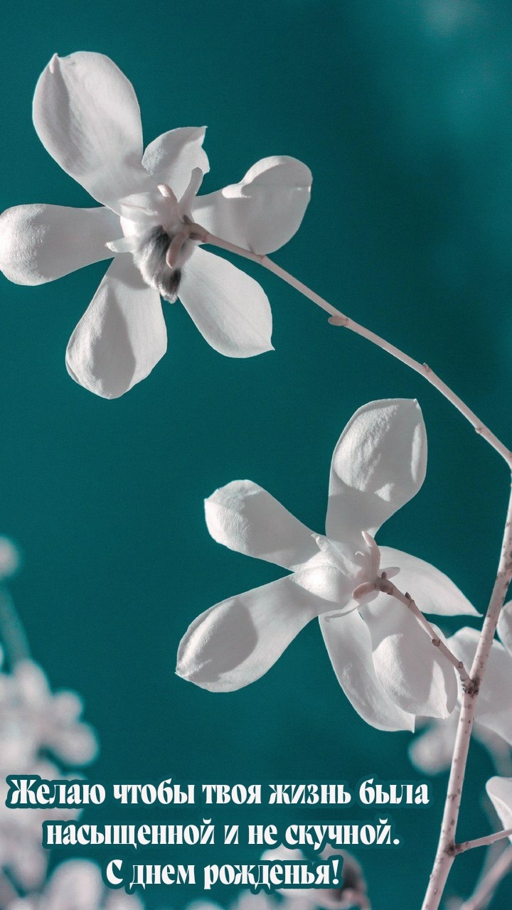 Желаю чтобы твоя жизнь была насыщенной и не скучной.