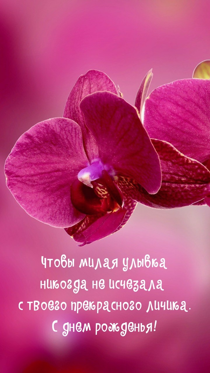 С днем рожденья! Чтобы милая улыбка никогда не исчезала 