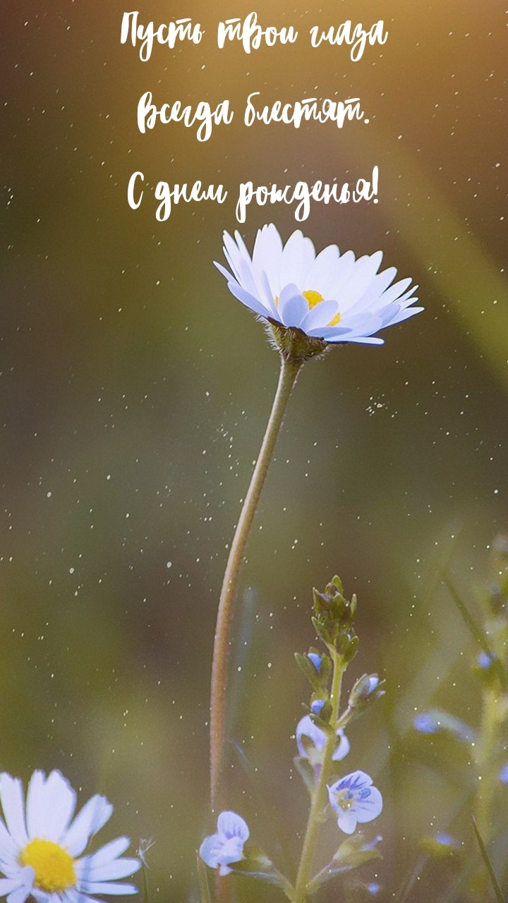 Пусть твои глаза всегда блестят. С днем рожденья!