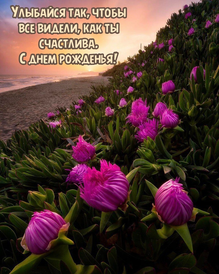 Улыбайся так, чтобы все видели, как ты счастлива. С днем рожденья!