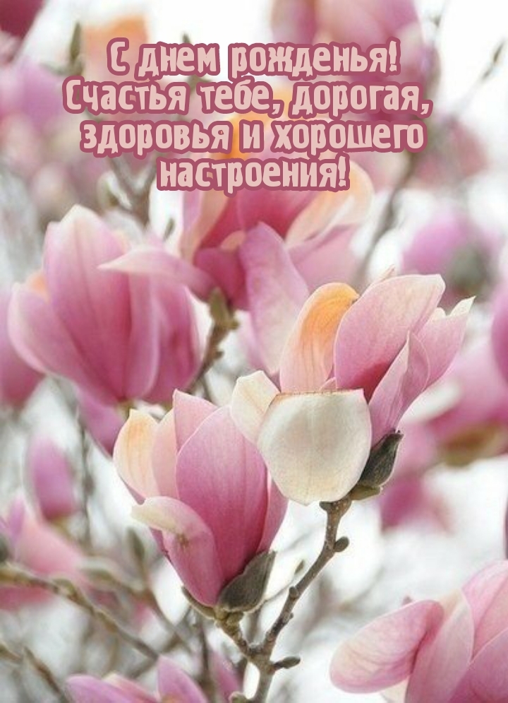 С днем рожденья! Счастья тебе, дорогая, здоровья