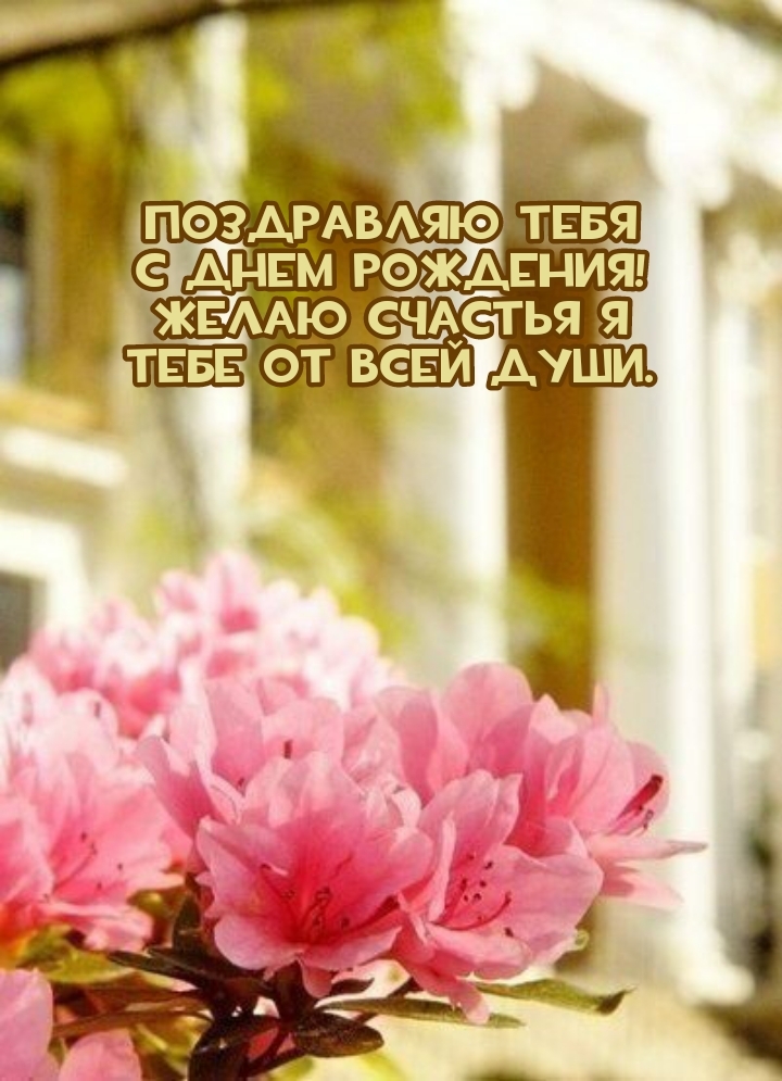 Тебя с днем рождения! Желаю счастья я тебе от всей души.