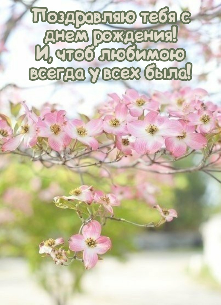 Тебя с днем рождения! Чтоб любимою всегда у всех была!
