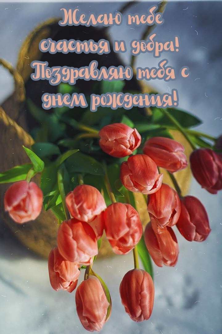 Желаю тебе счастья и добра! Тебя с днем рождения!