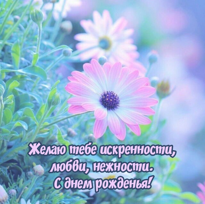Желаю тебе искренности, любви, нежности. С днем рожденья!