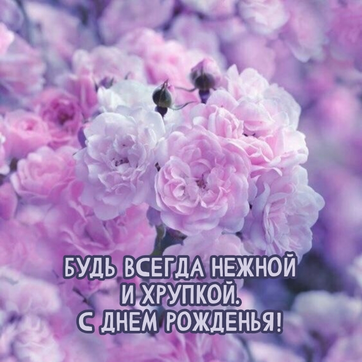 Будь всегда нежной и хрупкой. С днем рожденья!