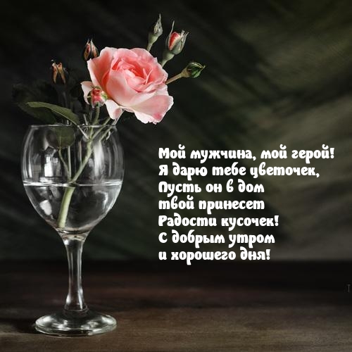 Мой мужчина, мой герой! Я дарю тебе цветочек