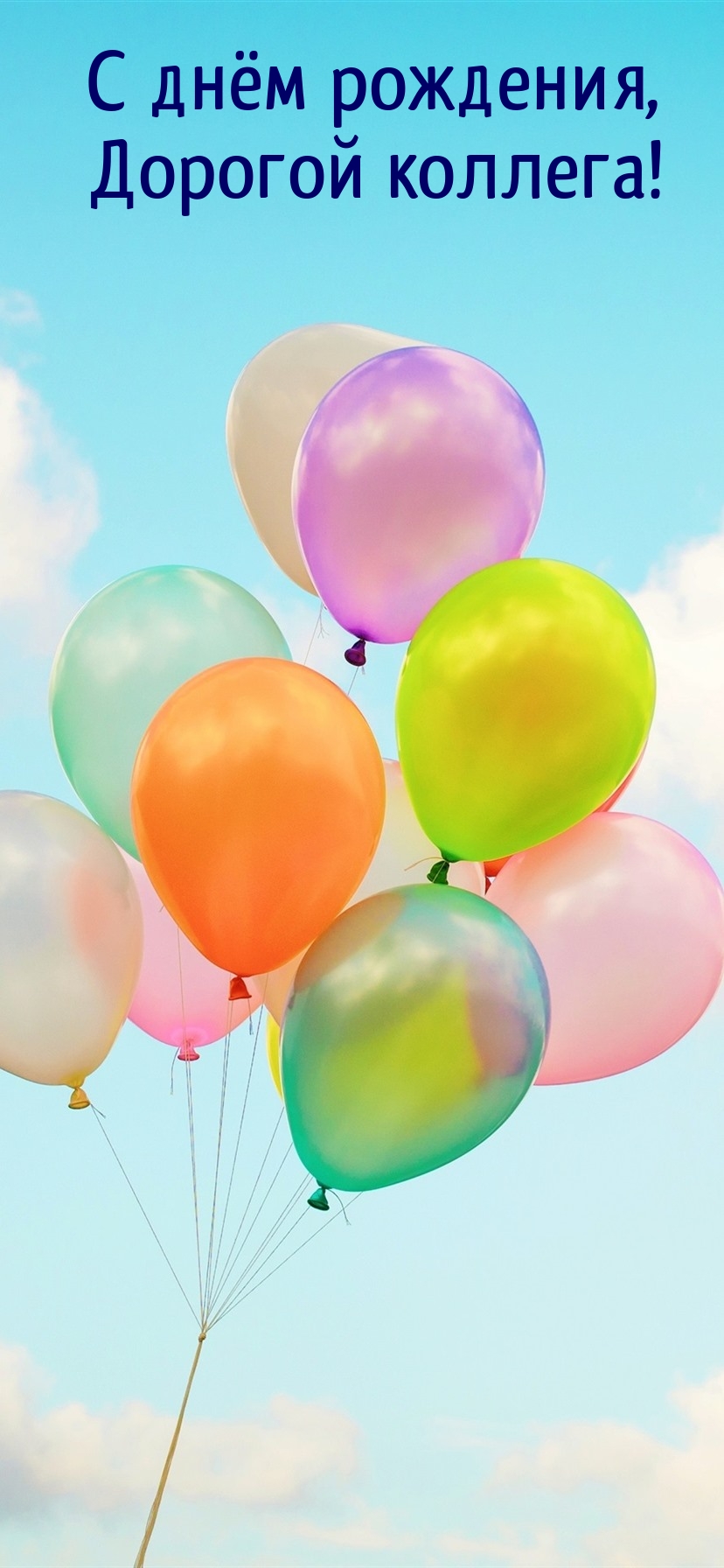 С днём рождения, Дорогой коллега! 