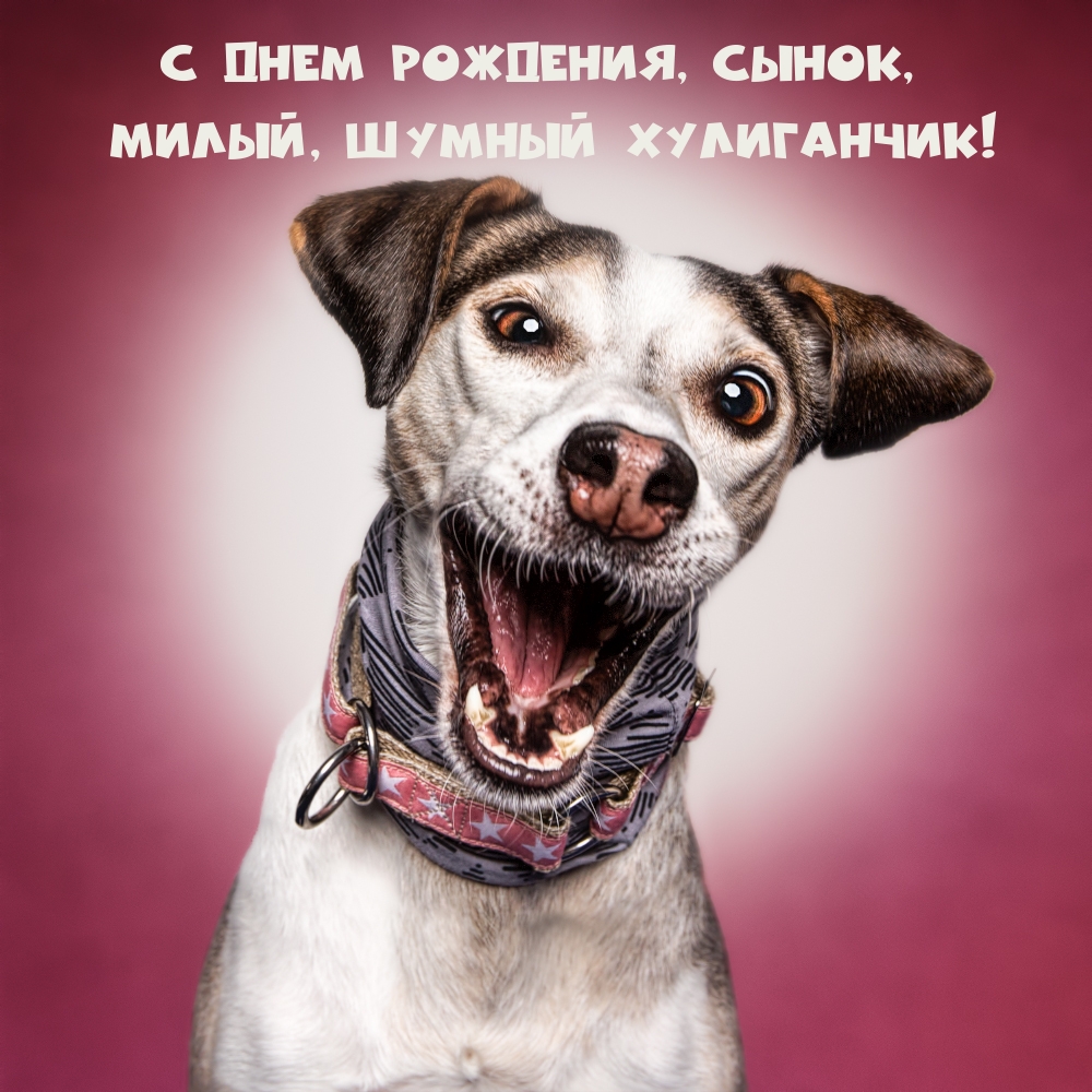 С днем рождения, сынок, милый, шумный хулиганчик!