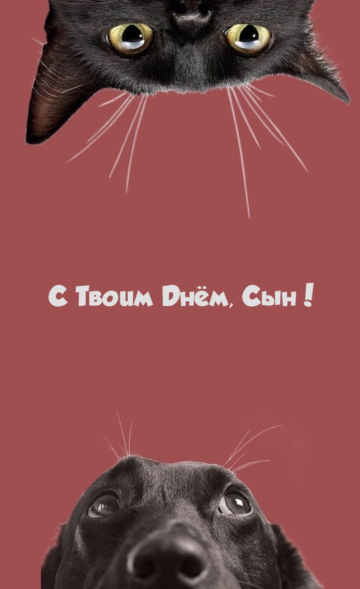 С Твоим Днём, Сын!