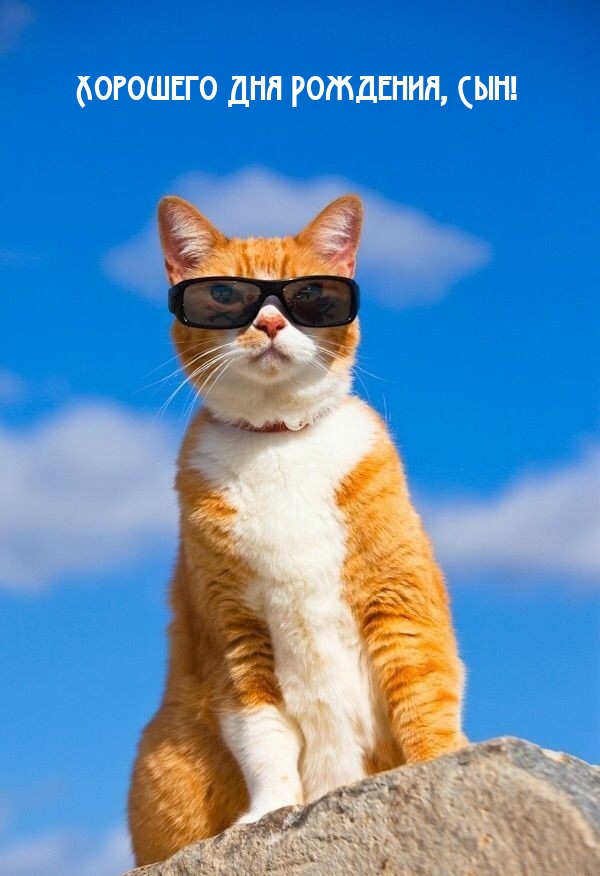 Хорошего Дня Рождения, Сын!