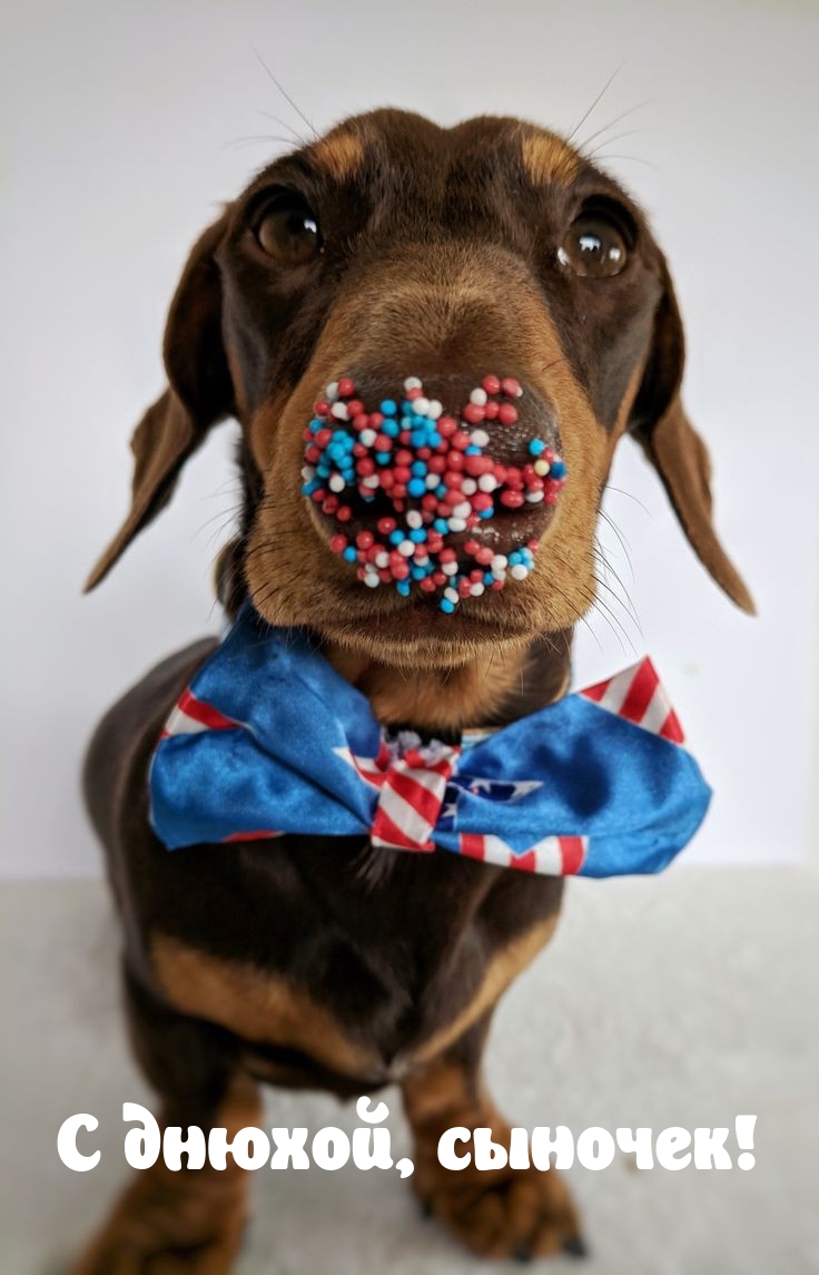 С днюхой, сыночек!