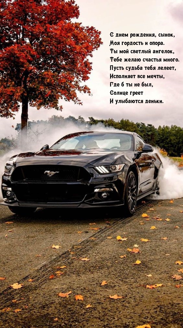 С днем рождения, сынок, моя гордость и опора.
