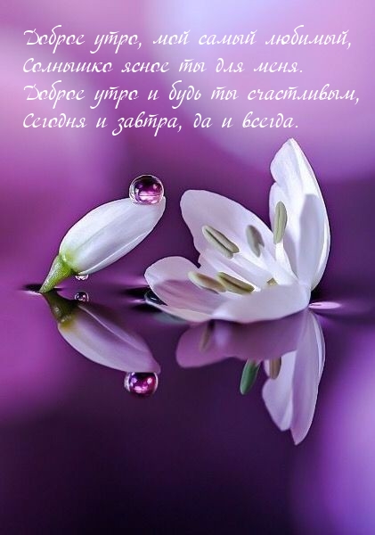 Доброе утро, мой самый любимый, солнышко ясное ты для меня.