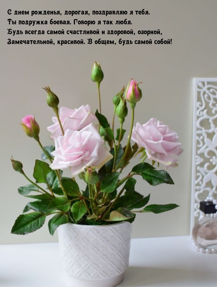 С днем рожденья, дорогая, поздравляю я тебя.