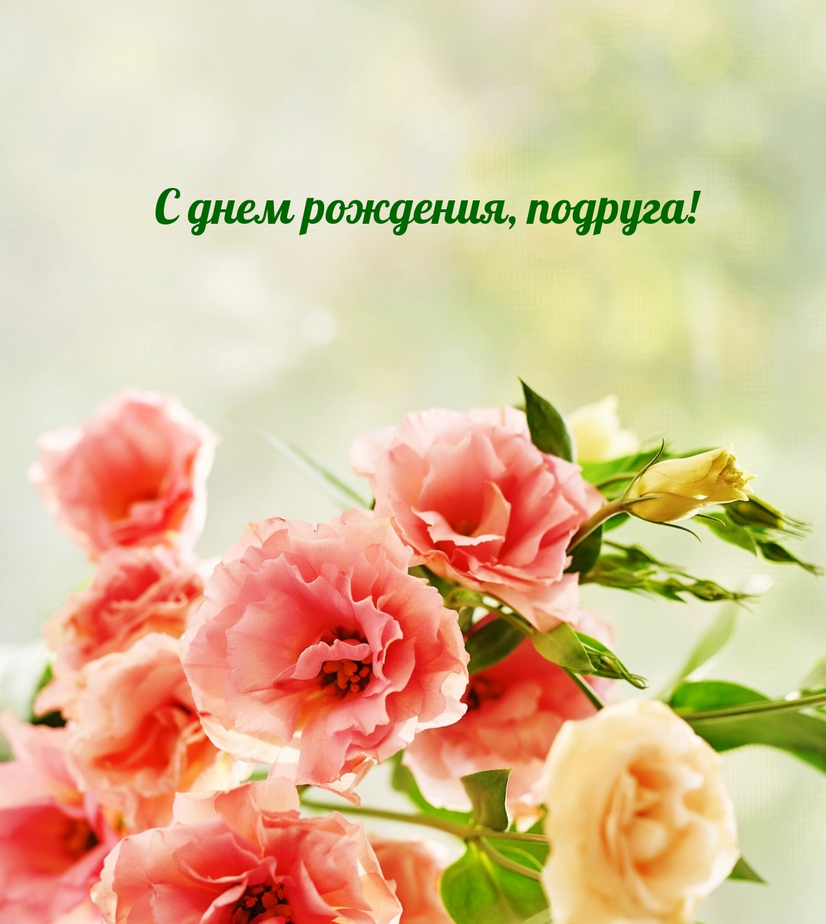 С днем рождения, подруга!