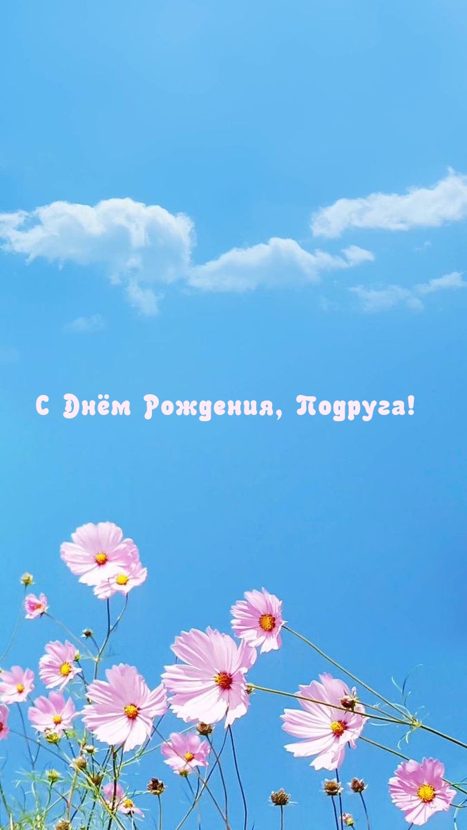 С Днём Рождения, Подруга!