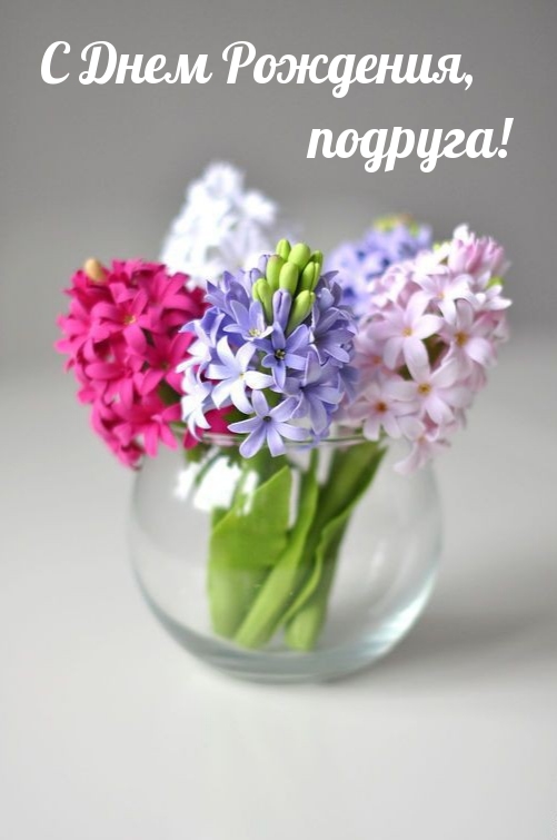 С Днем Рождения, подруга! 