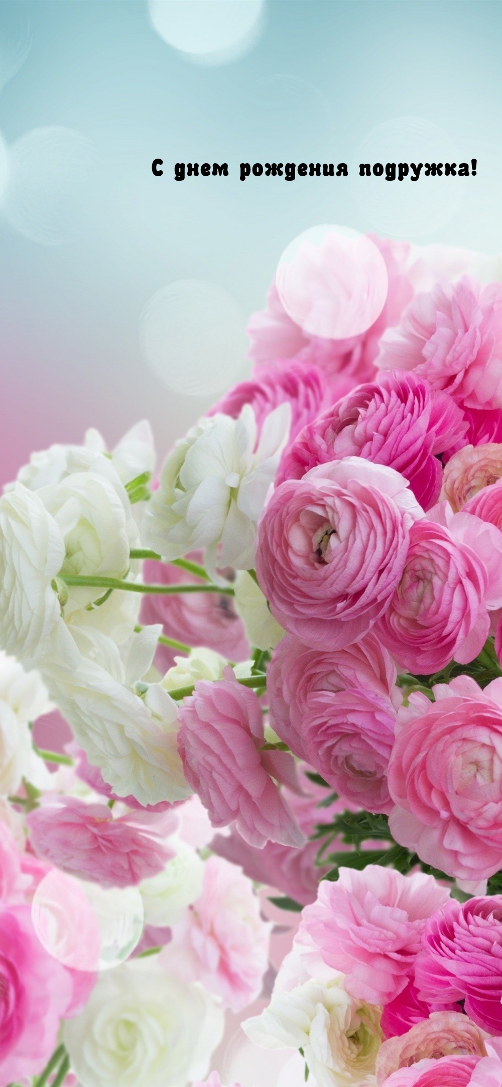 С днем рождения подружка!