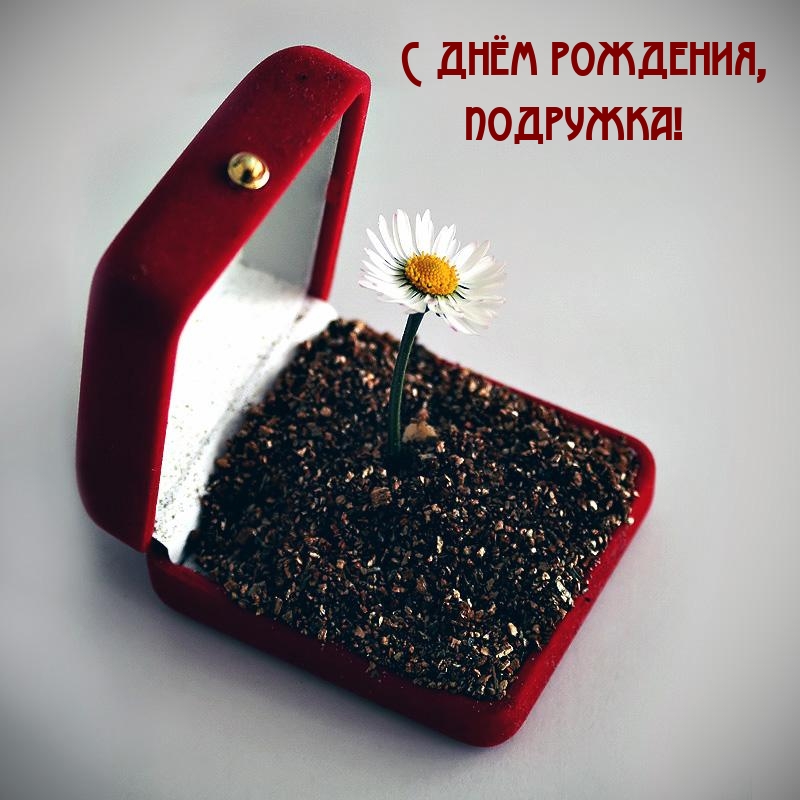 С днём рождения, подружка!