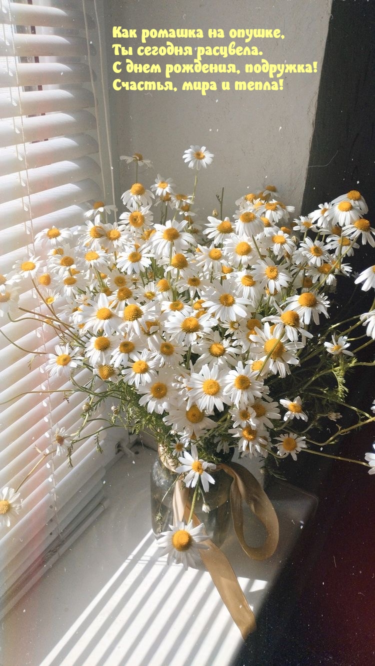 С днем рождения, подружка! Счастья, мира и тепла!