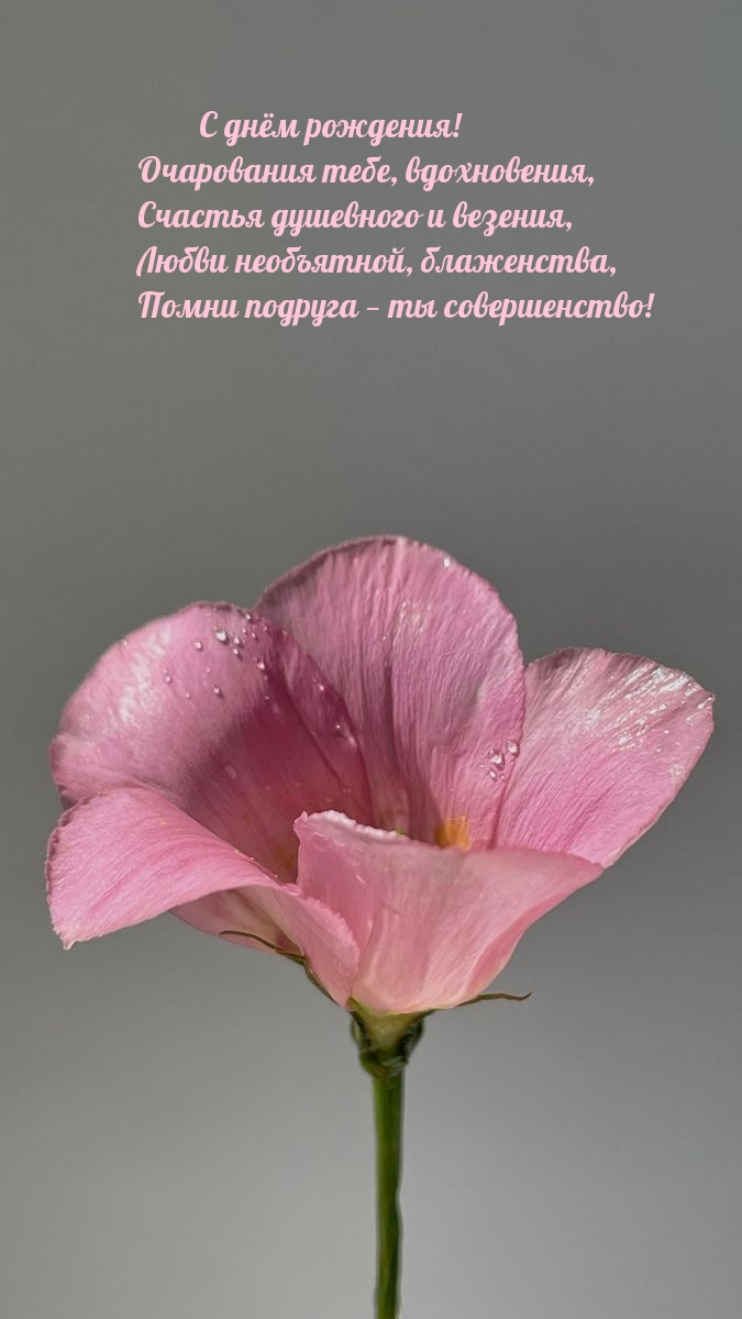 С днём рождения! Очарования тебе, вдохновения