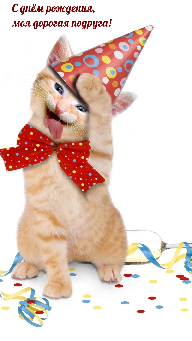 С днём рождения, моя дорогая подруга!