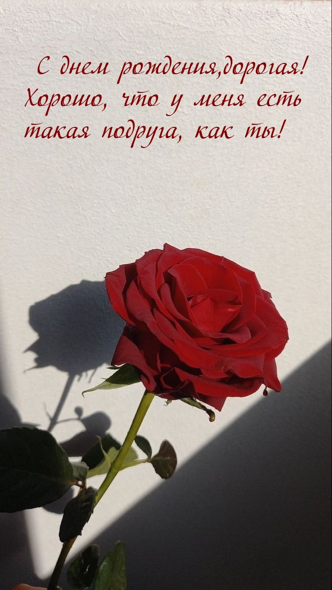 С днем рождения, дорогая! Хорошо, что у меня есть такая подруга
