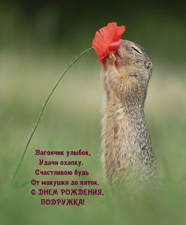 Вагончик улыбок, удачи охапку. С днем рождения, подружка!