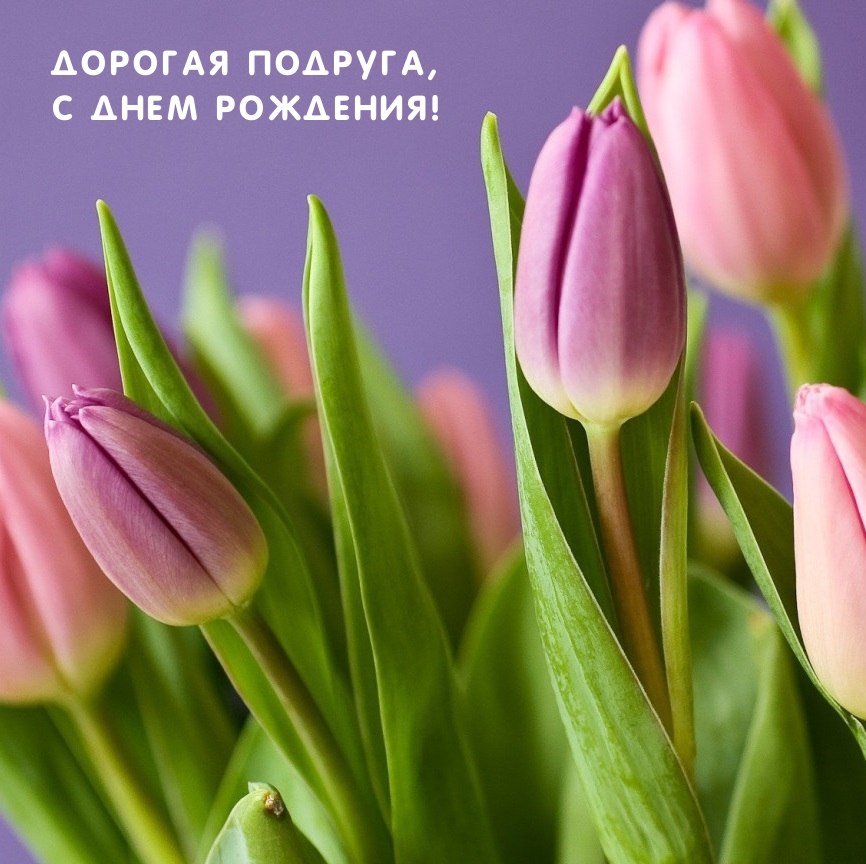 Дорогая подруга, с Днем рождения!