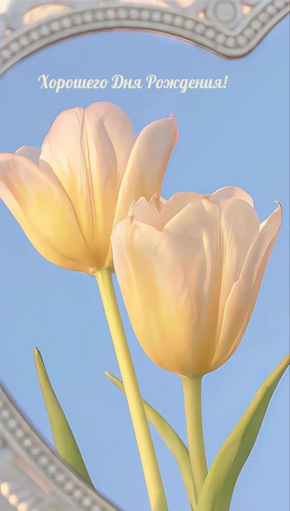 Хорошего Дня Рождения!